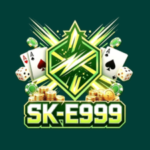 SK E999 Game