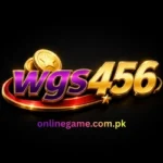WGS456 Game